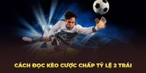 Tìm Hiểu Cách Chơi Kèo Chấp 2 Trái Và Tỷ Lệ Thắng Lớn Hiện Nay