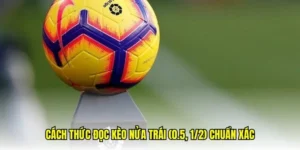 Cách Chơi Kèo Chấp 0.5 Trong Bóng Đá Để Mang Lại Hiệu Quả Tối Đa