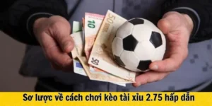 Hướng Dẫn Chi Tiết Cách Chơi Kèo 2.75 Trong Bóng Đá Hiện Đại
