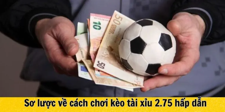 Hướng Dẫn Chi Tiết Cách Chơi Kèo 2.75 Trong Bóng Đá Hiện Đại