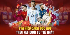 Chiến Thuật Phân Tích Cách Chơi Kèo Trên Kèo Dưới Hiệu Quả Nhất