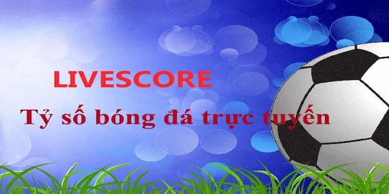 Cập Nhật Tỷ Số Bóng Đá Trực Tuyến Siêu Tốc Độ Mọi Lúc Mọi Nơi